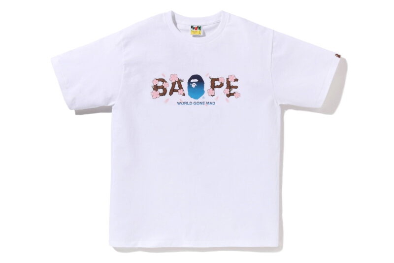 BAPE_4