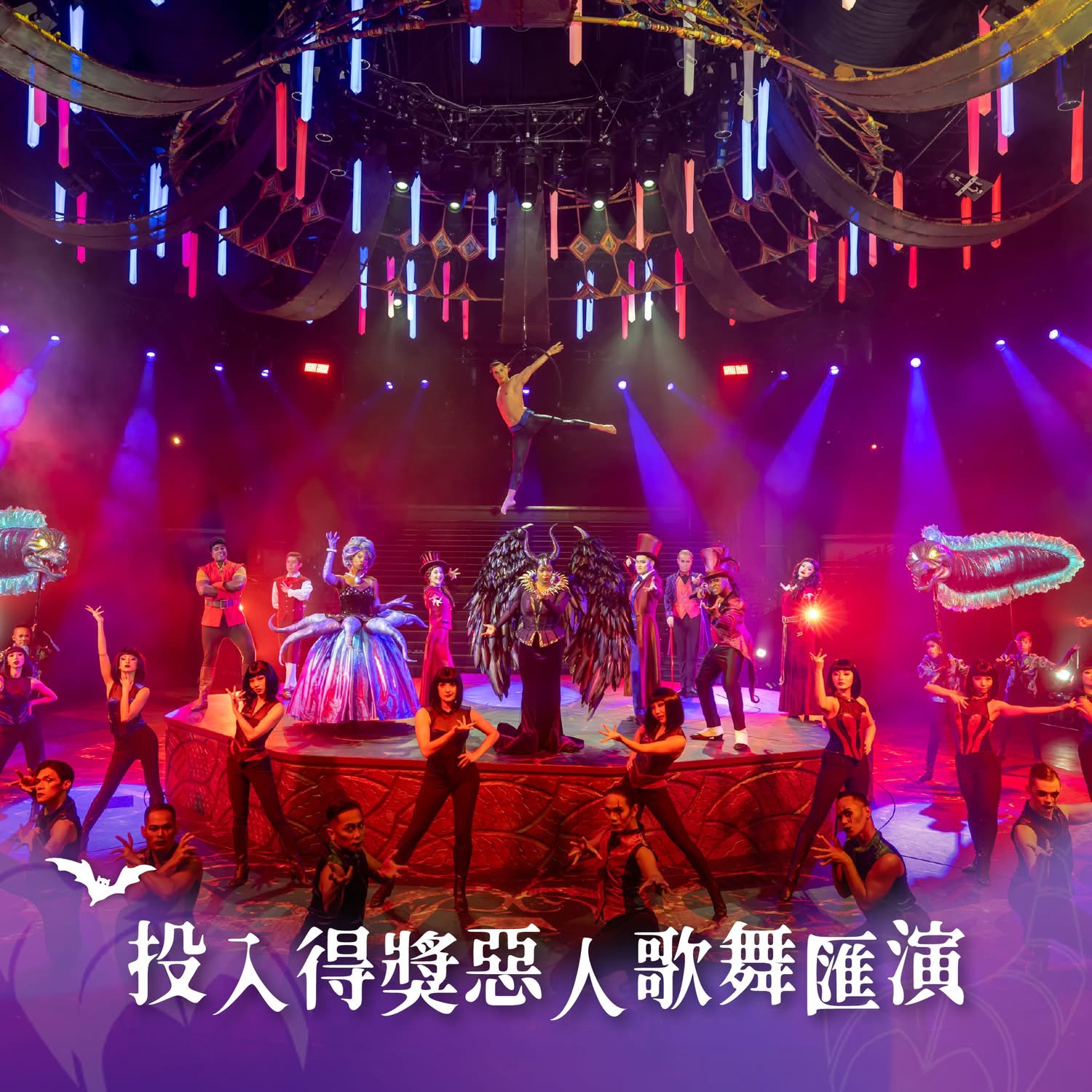 高橋秀蓉 圖片 2