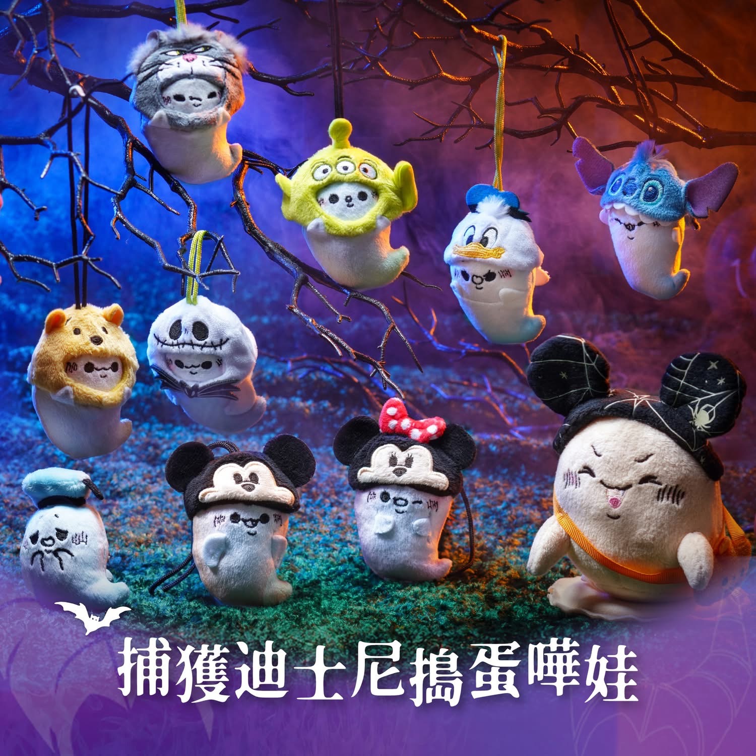 高橋秀蓉 圖片 5