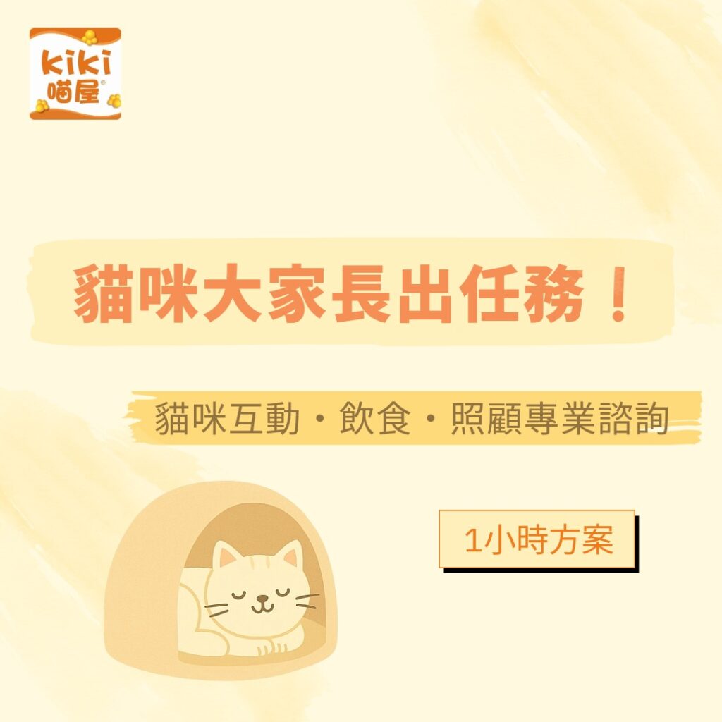 貓咪大家長出任務！(1小時)