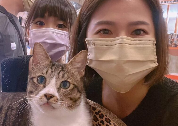 希望我不要退休