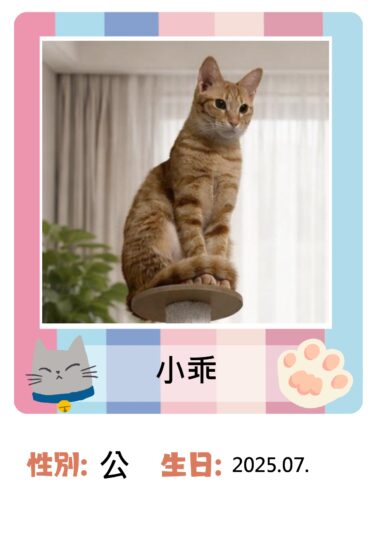20260424_貓咪名冊_小乖_page-0001