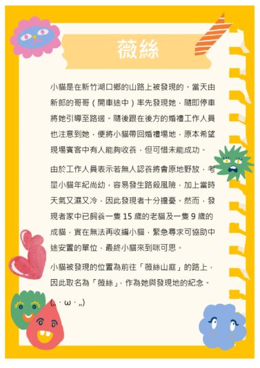 20260427_貓咪名冊_薇絲_page-0002